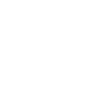 White sparkles and lens flare light